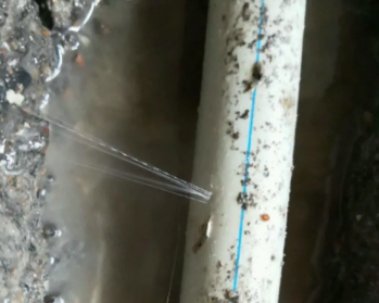 掇刀卫生间测漏水多少钱