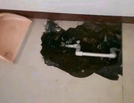 掇刀卫生间测漏水多少钱